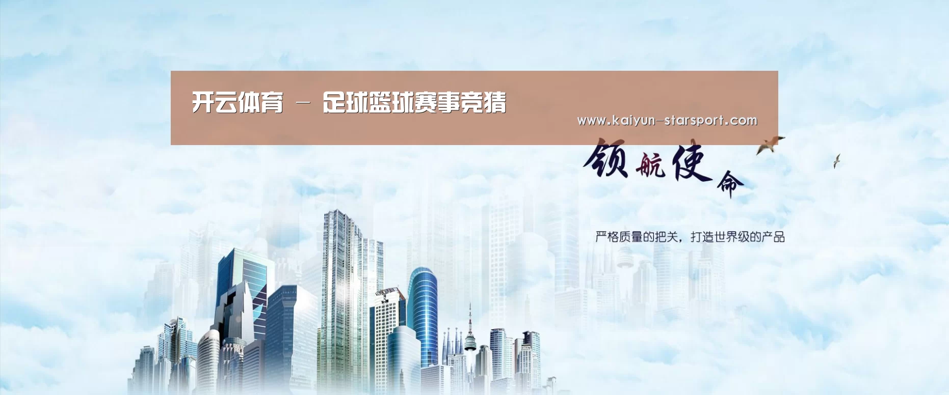 开云体育公司
