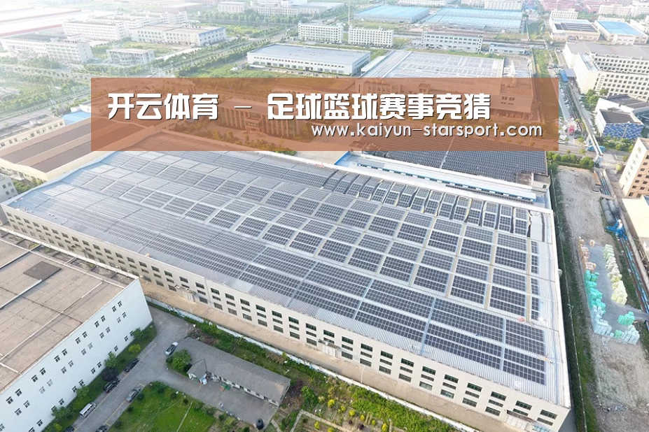 案例展示二
