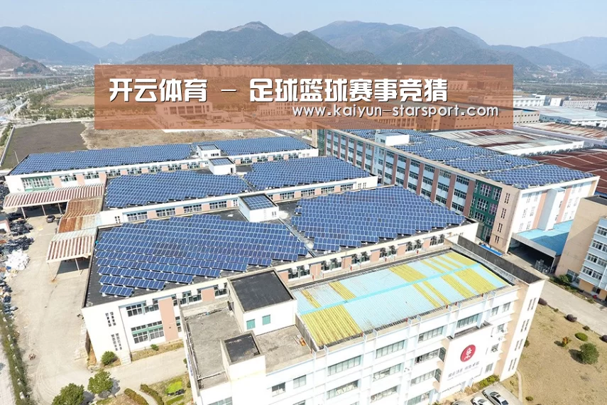 案例展示一