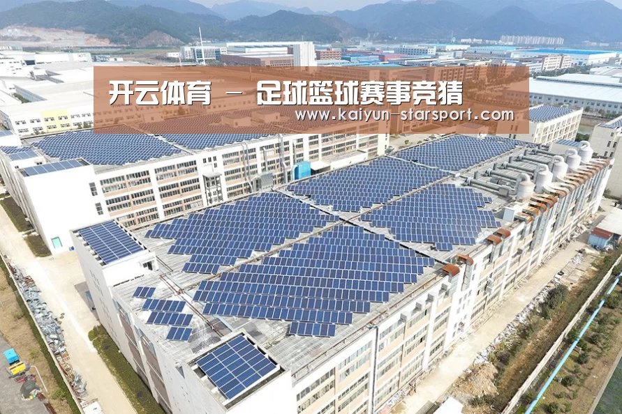 案例展示二