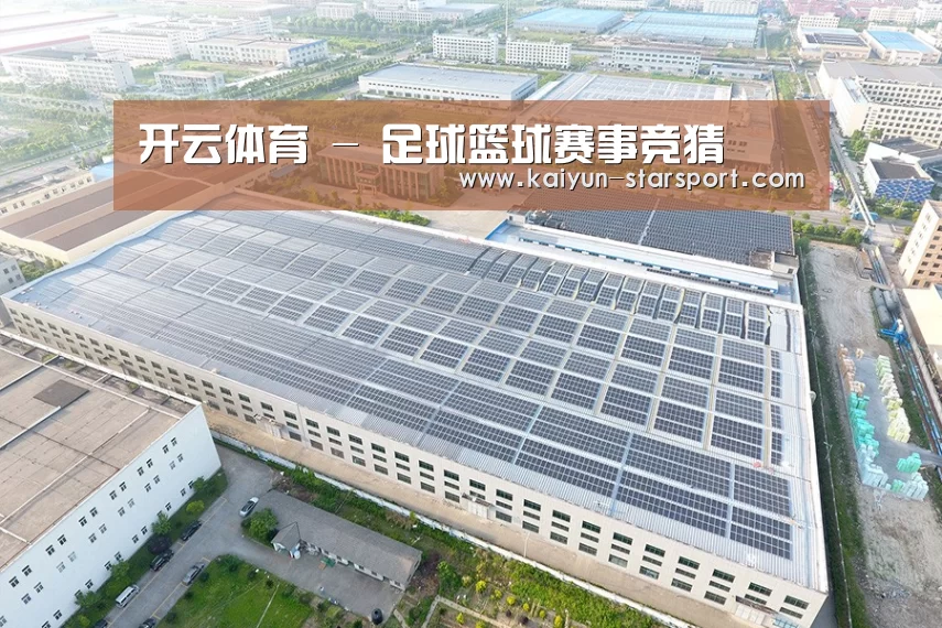 案例展示二