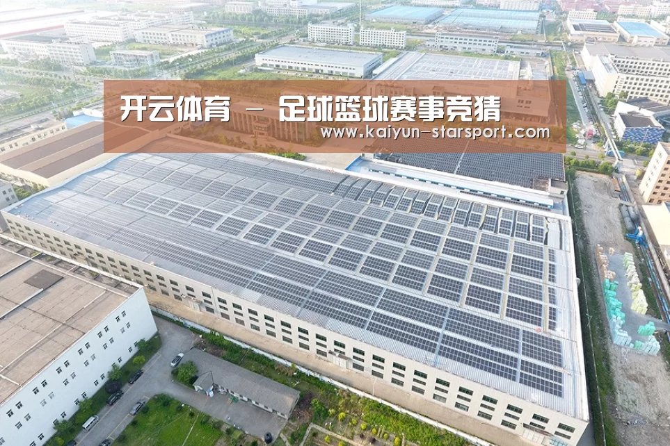 案例展示三