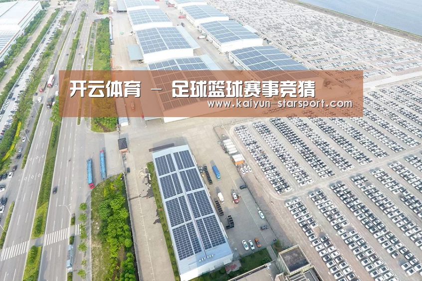 案例展示一