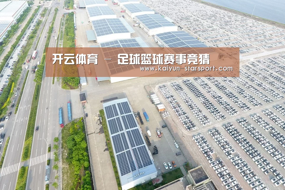 案例展示二