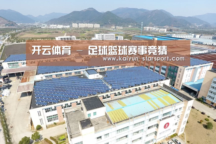 案例展示三