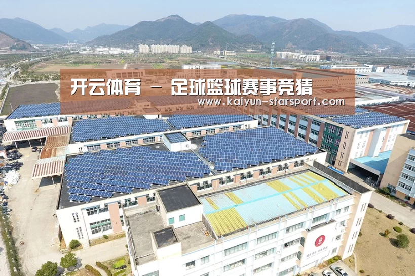 案例展示三