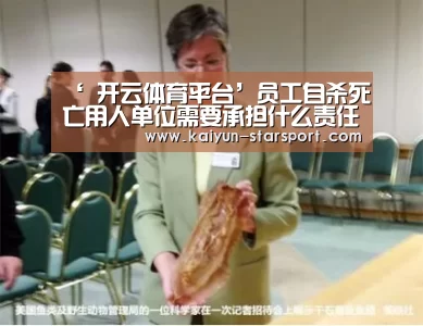  开云娱乐