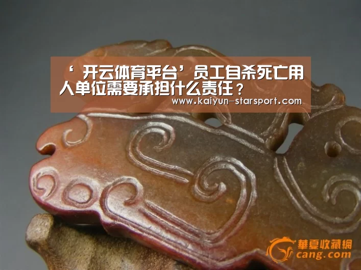 开云体育
