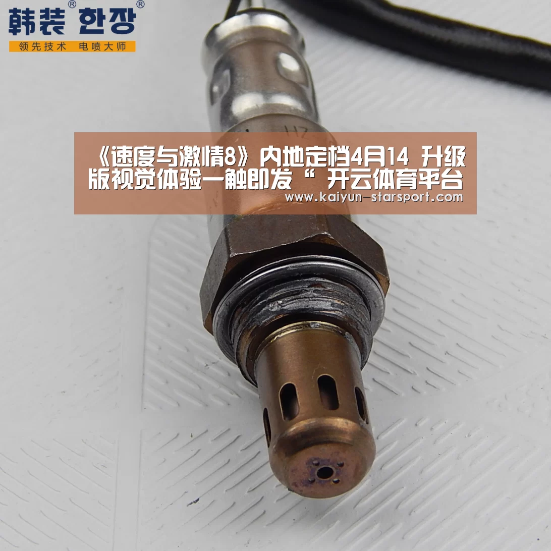  开云体育平台