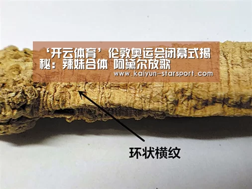 ‘开云体育’伦敦奥运会闭幕式揭秘:辣妹合体 阿黛尔放歌(图2) 开云体育