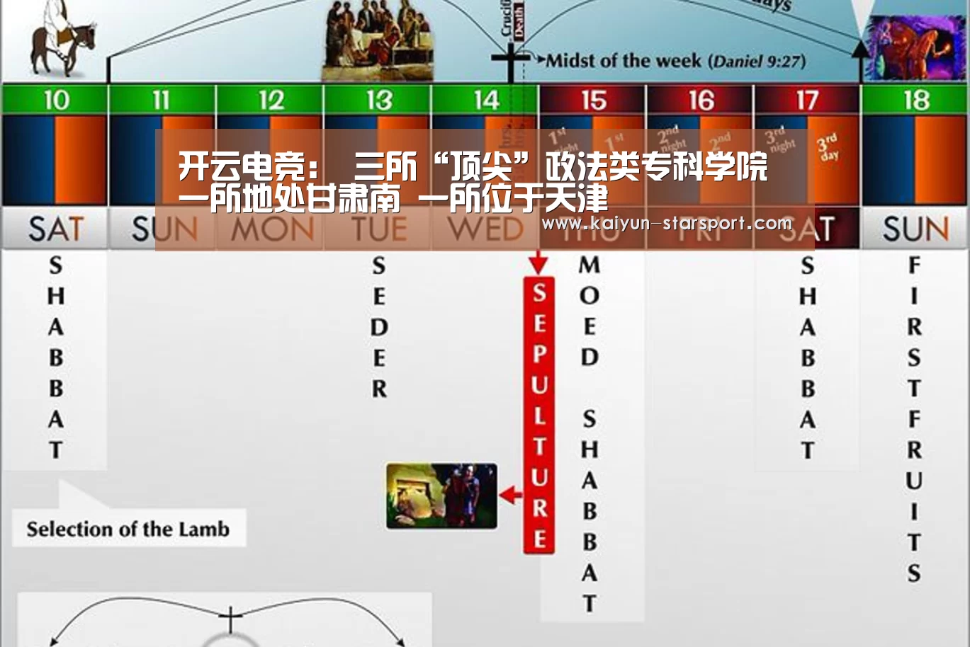 开云电竞:
三所“顶尖”政法类专科学院 一所地处甘肃南 一所位于天津(图1) 开云电竞